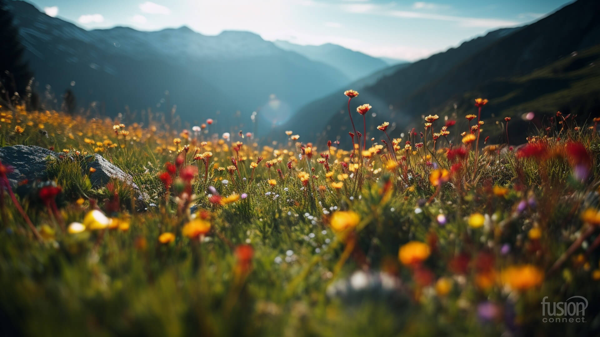Microsoft teams spring backgrounds