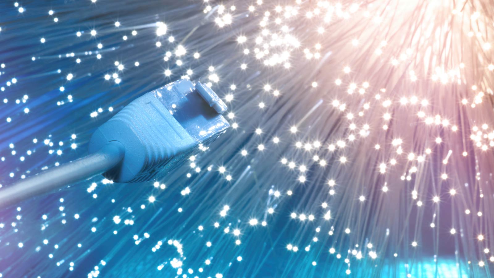 Fiber vs Cable Internet: A Guide to the Differences in Speed, Cost and More