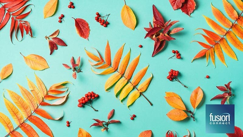 Background For Microsoft Teams meeting