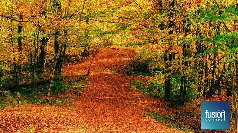 Background For Microsoft Teams meeting